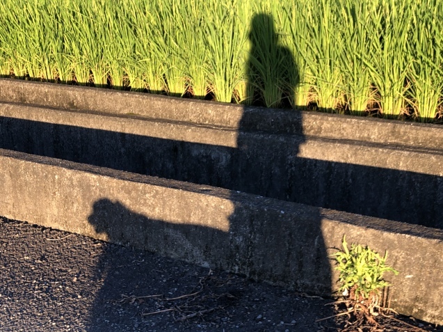 休日。_a0394574_09560937.jpeg