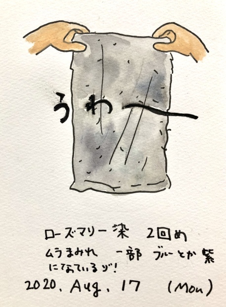 ローズマリー染2回目_f0072976_10591229.jpeg