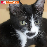 ミニマムズ、箱に目覚める_a0389088_15033727.jpg