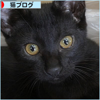 ミニマムズ、箱に目覚める_a0389088_15033740.jpg