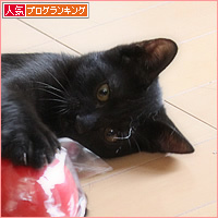 ポケモン、ゲットならず?_a0389088_15220818.jpg