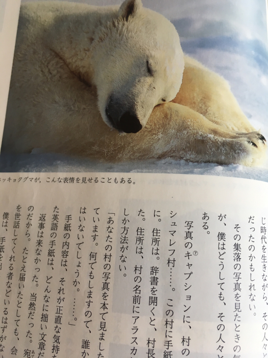 中学3年生の国語の教科書 ワットモーイ オランダのフラワーアレンジメント教室 中学3年生の国語の教科書 ワットモーイ オランダのフラワーアレンジメント教室