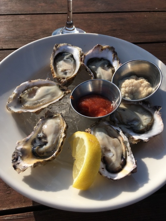 釣りの町 ホーマー Homer_b0135948_01504558.jpg