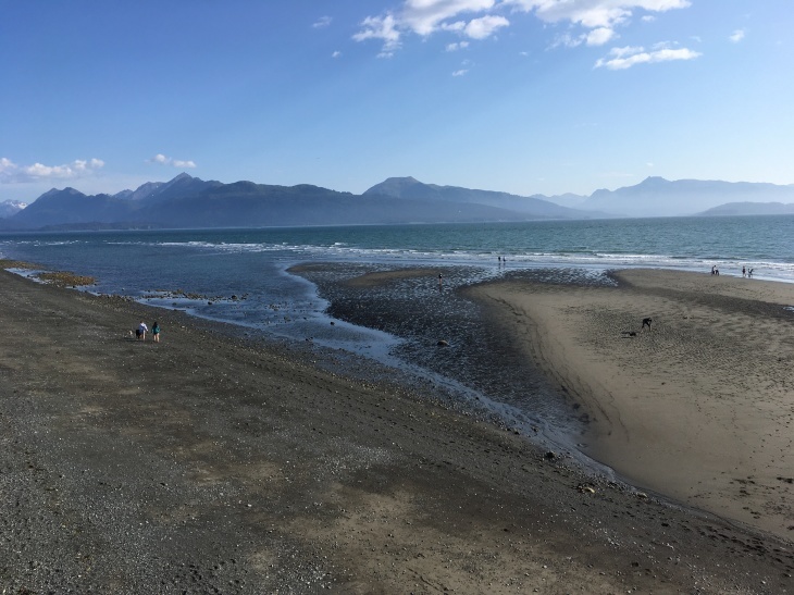 釣りの町 ホーマー Homer_b0135948_03145209.jpg