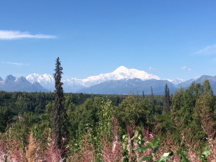今日の１枚 - デナリ山 Mt. Denali_b0135948_14543364.jpg