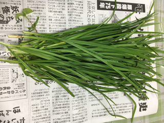嬉しい収穫_f0363168_17311554.png