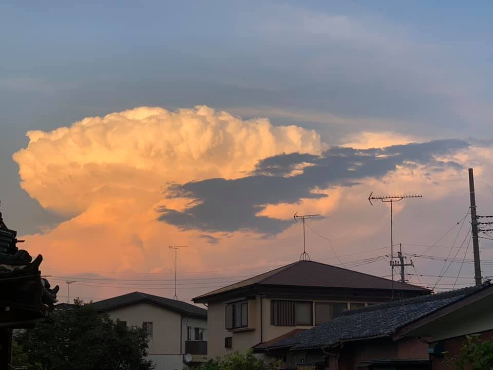 雲&まおちゃん_e0040673_09033752.jpg