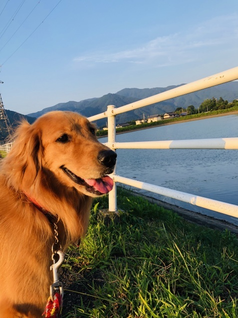 あなたが、私に。_a0394574_09252713.jpeg