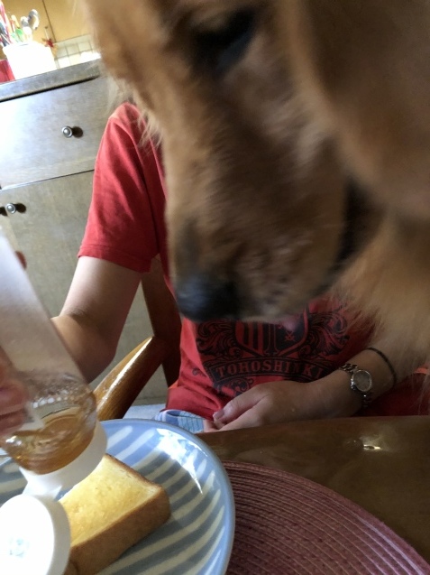 あなたが、私に。_a0394574_09294820.jpeg