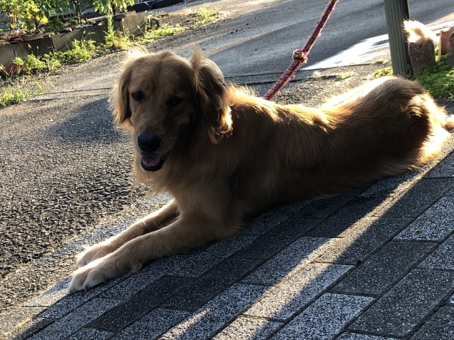 あなたが、私に。_a0394574_09322098.jpeg
