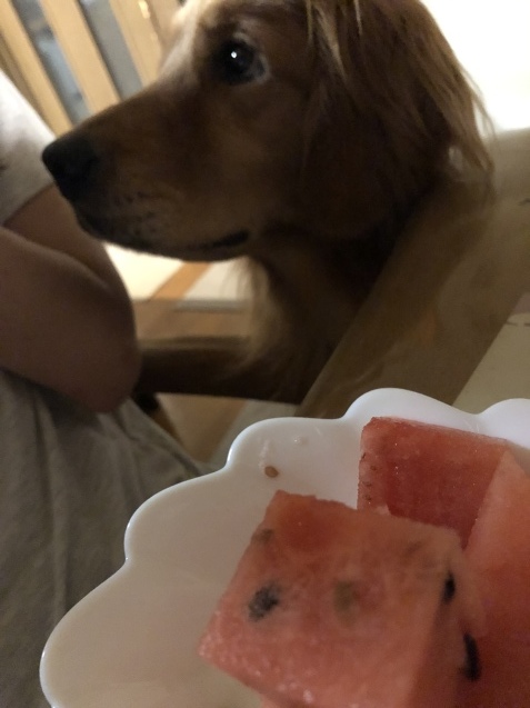 美味しい夏。_a0394574_23505889.jpeg