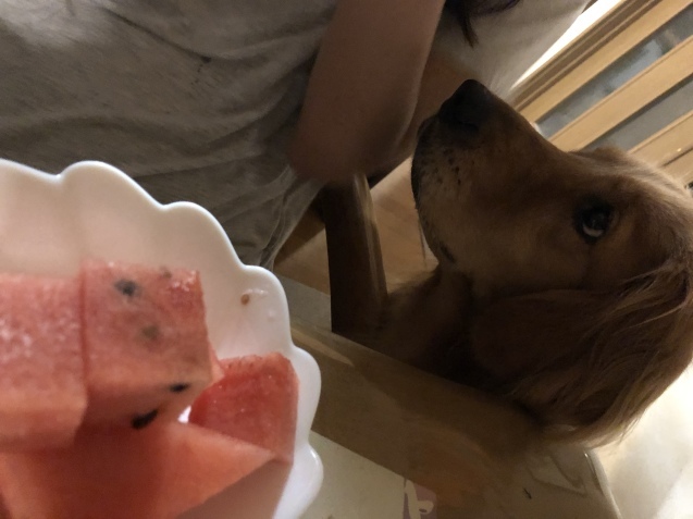 美味しい夏。_a0394574_23522888.jpeg