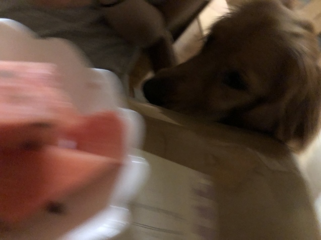 美味しい夏。_a0394574_23534187.jpeg