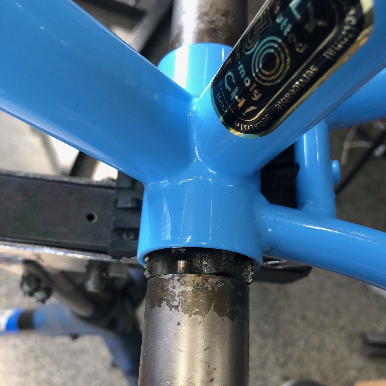 2020.08.17「SURLY 1X1(サーリー　ワンバイワン)」_c0197974_22554288.jpg