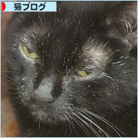 エアコンの温度、どうしてますか?_a0389088_06170021.jpg