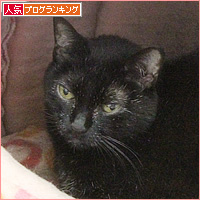 エアコンの温度、どうしてますか?_a0389088_06170037.jpg
