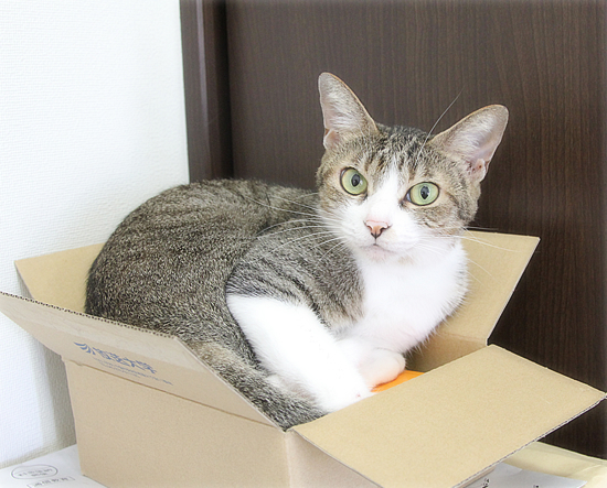 エアコンの温度、どうしてますか?_a0389088_06170068.jpg