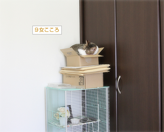エアコンの温度、どうしてますか?_a0389088_06170090.jpg