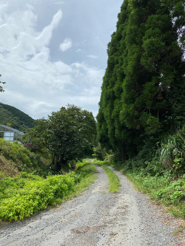 辛い修行 と思えば 辛い人生 を生きることになる 菊如徒然 辛い修行 と思えば 辛い人生 を生きることになる 菊如徒然