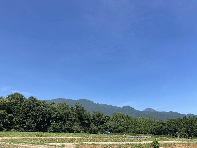 安曇野の土地探し_d0008402_10370472.jpg