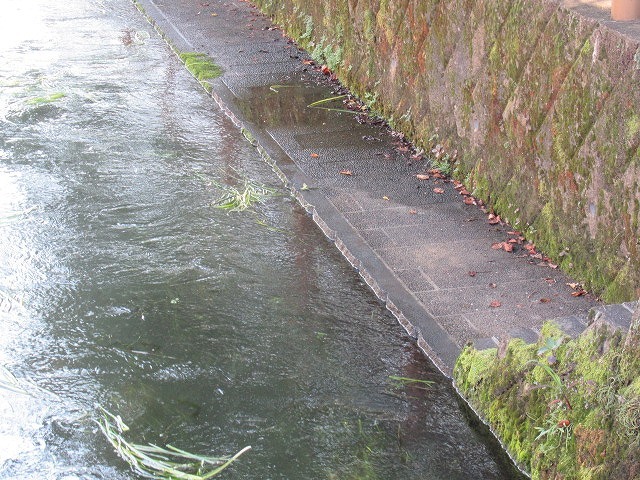 気温がグングン上がる中、上流部の方々も参加した田宿川の川そうじ_f0141310_07225662.jpg