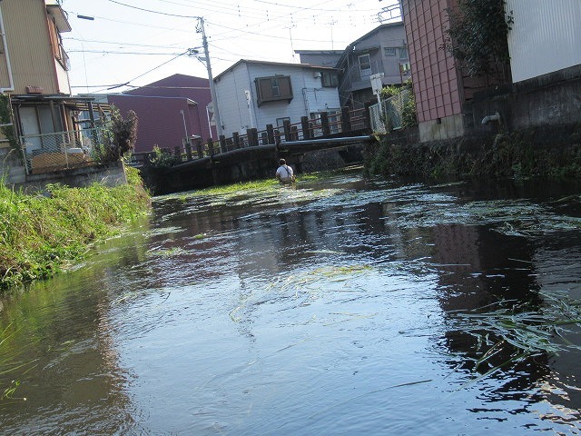 気温がグングン上がる中、上流部の方々も参加した田宿川の川そうじ_f0141310_07231259.jpg