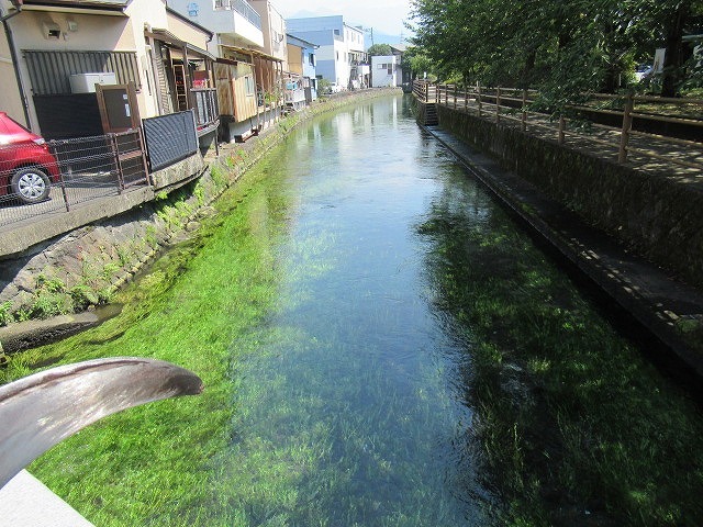 気温がグングン上がる中、上流部の方々も参加した田宿川の川そうじ_f0141310_07233136.jpg