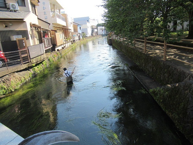 気温がグングン上がる中、上流部の方々も参加した田宿川の川そうじ_f0141310_07234089.jpg