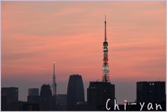 夏の夜景_e0219011_09545443.jpg