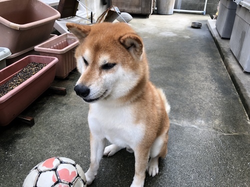 第二波_d0184114_19391521.jpeg