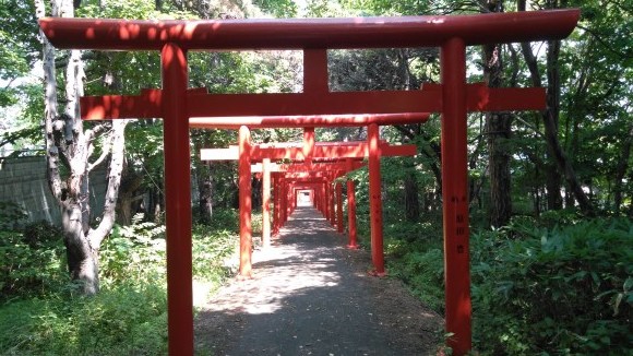 札幌伏見稲荷神社 パグ犬ぷう太の華麗なる生活 With じんた