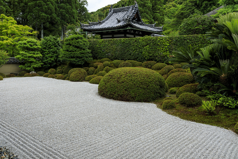 緑に包まれる酬恩庵一休寺_f0155048_1049195.jpg