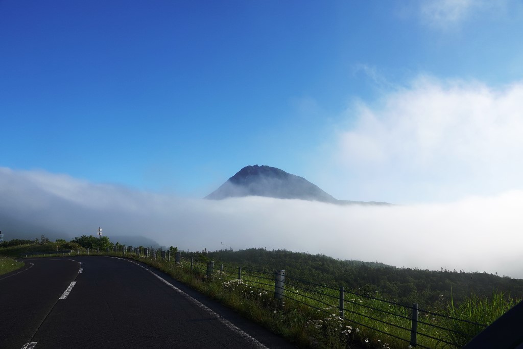 北海道探鳥地放浪の旅 画像編_b0227552_19311407.jpg