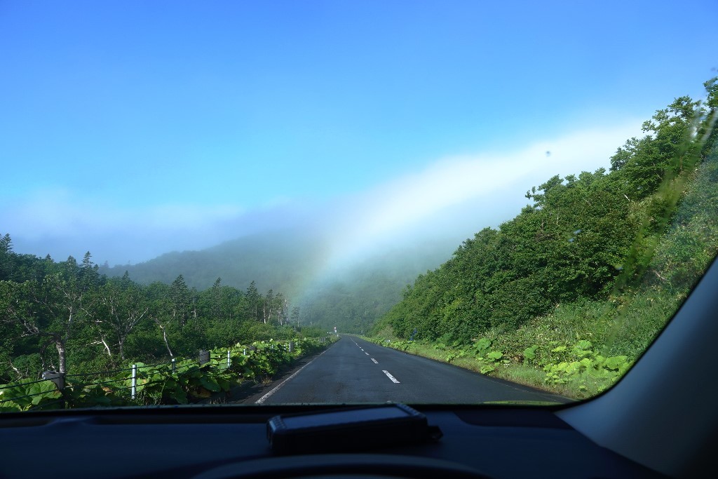 北海道探鳥地放浪の旅 画像編_b0227552_19311471.jpg