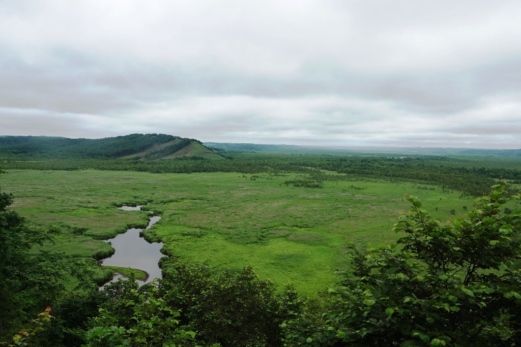 北海道探鳥地放浪の旅 画像編_b0227552_19404217.jpg
