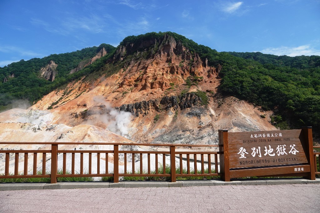 北海道探鳥地放浪の旅 画像編_b0227552_19404335.jpg
