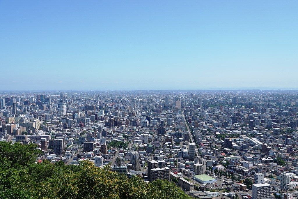 北海道探鳥地放浪の旅 画像編_b0227552_19404339.jpg