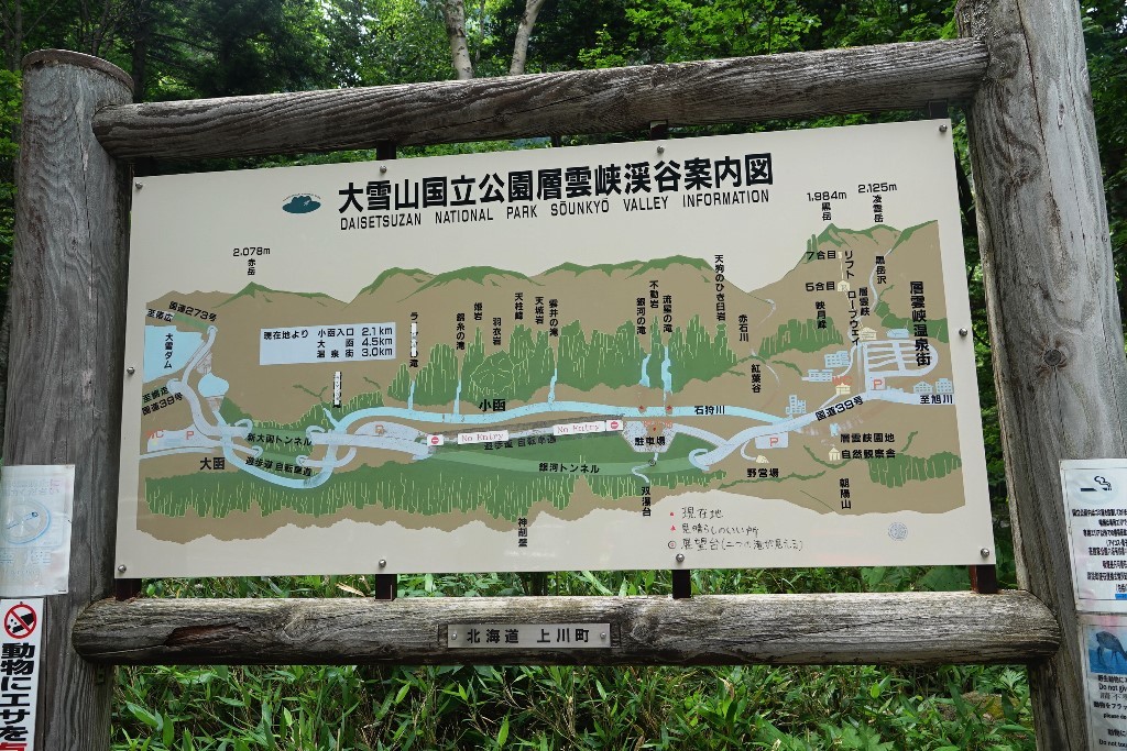 北海道探鳥地放浪の旅 画像編_b0227552_20564912.jpg