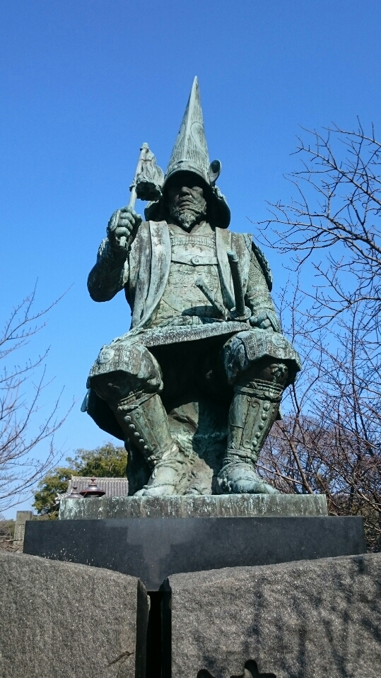 熊本セロリ「清正人参」 苗床の様子を現地取材!定植は9月下旬からの予定です!_a0254656_18591891.jpg