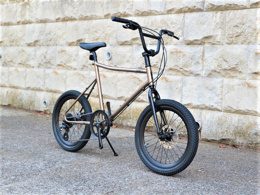 お話中」tern AMP F1 カッパー 46センチ 2021年購入