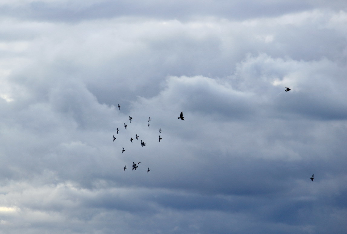 空を飛びたい 幻に魅せられて 空を飛びたい 幻に魅せられて