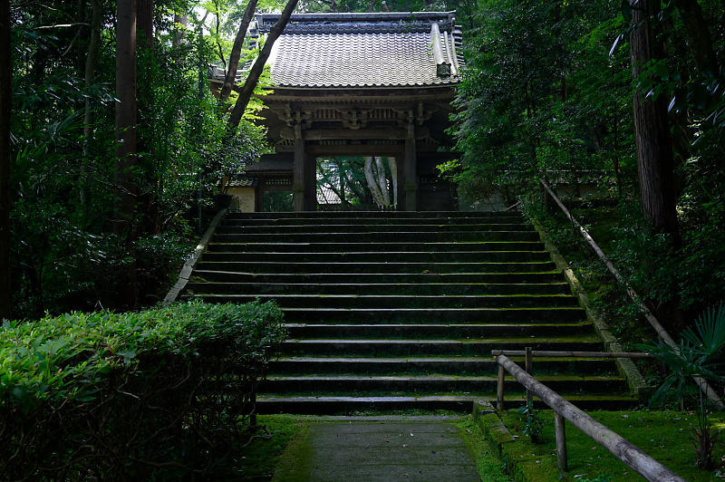 夏寺巡り@滋賀県 龍譚寺_f0032011_18330157.jpg