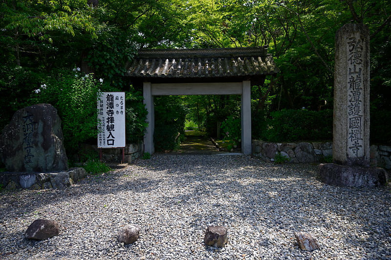夏寺巡り@滋賀県 龍譚寺_f0032011_18330171.jpg