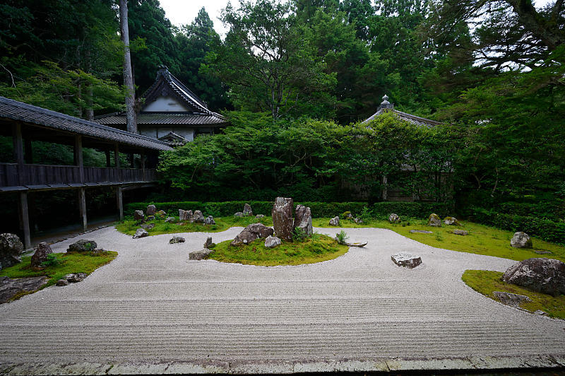 夏寺巡り@滋賀県 龍譚寺_f0032011_19112718.jpg