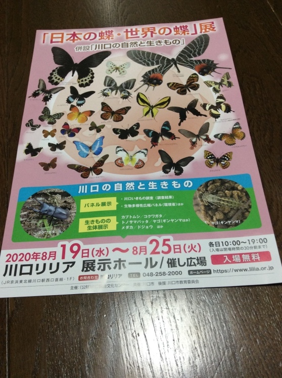 日本の蝶 世界の蝶 展 見沼の私記３