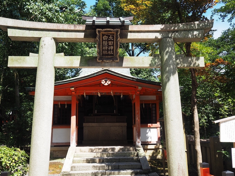 厄年_e0374932_07301444.jpg