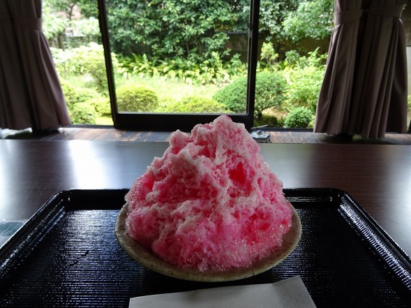 おふさ観音の風鈴まつり 彩の気まぐれ写真 おふさ観音の風鈴まつり 彩の気まぐれ写真