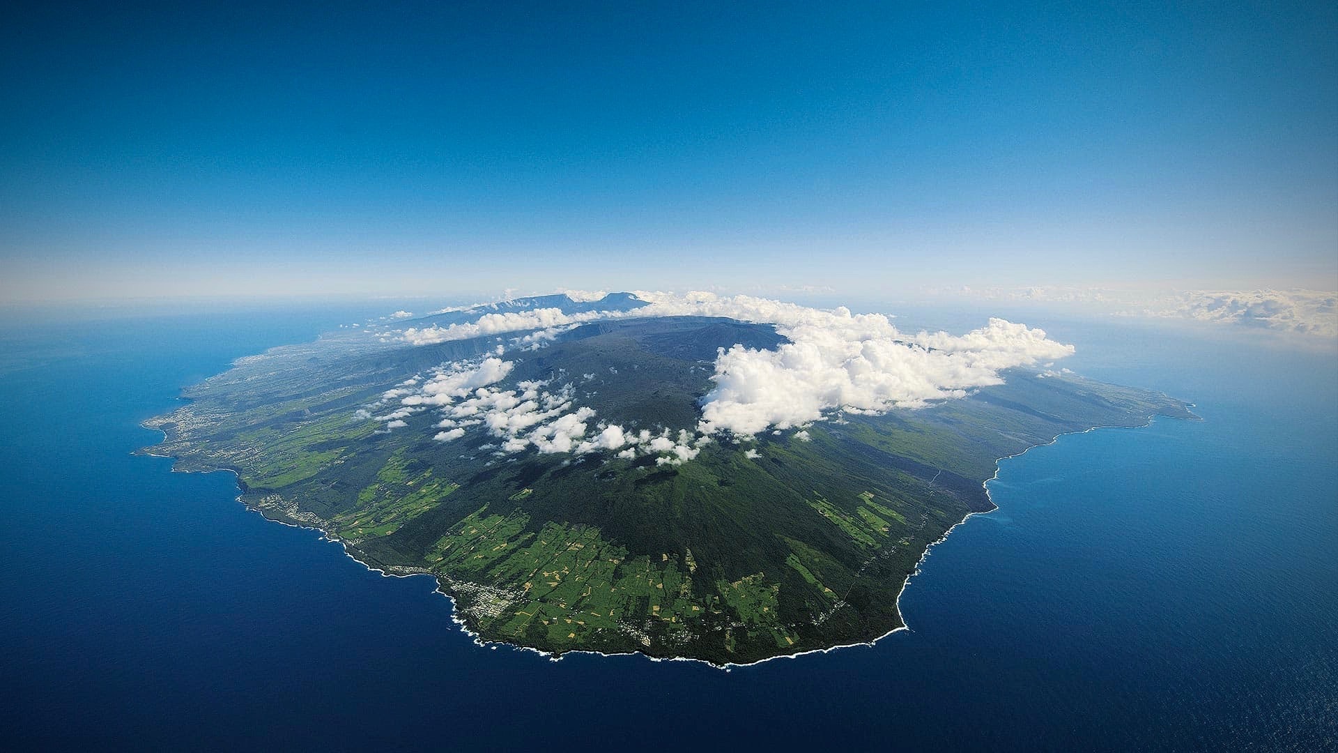 Réunion Vanille_f0057849_19025205.jpg