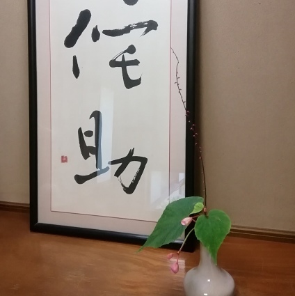 秋のはじまりの花…_b0368362_08123076.jpg