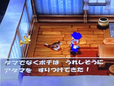 モンスターを仲間にできるタイプのローグライク Lot Of Cod Roe University T T C